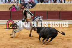 FIFS0974