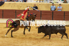 FIFS1190