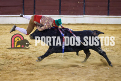 FIFS1246
