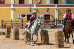 Corrida-Campinos