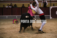 IMG_8250