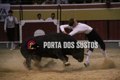 IMG_8277