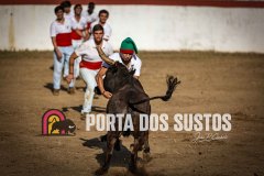 IMG_2031