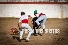 IMG_2082