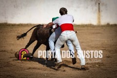 IMG_2088