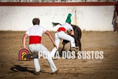 IMG_2149
