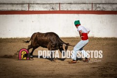IMG_2286