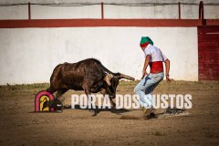 IMG_2360