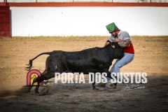 IMG_2597