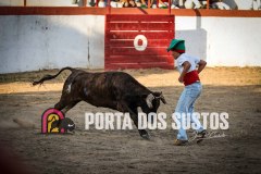 IMG_2941