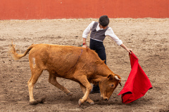 image00002