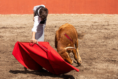 image00003