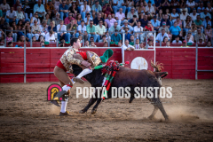 IMG_6421