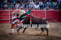 IMG_6426