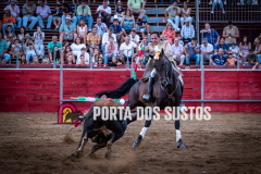 IMG_6917
