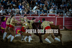 IMG_7346