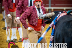 IMG_3240
