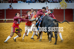 IMG_3266