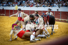 IMG_3572