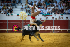 IMG_4146