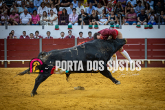IMG_4520