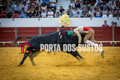 IMG_4910