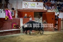IMG_4777