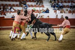 IMG_5034