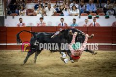 IMG_5363