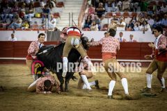 IMG_5485