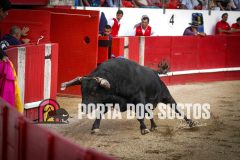 IMG_7207