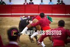 IMG_7315