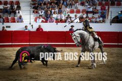 IMG_7370