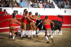 IMG_7467
