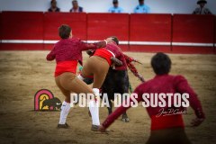 IMG_7659