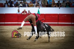 IMG_7999