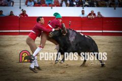 IMG_8003