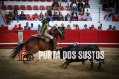 IMG_8080