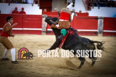 IMG_8161