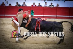 IMG_8199