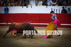 IMG_7726