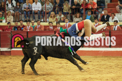 FIFS1466