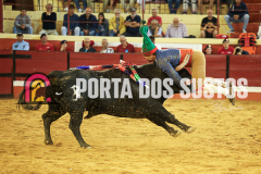 FIFS1516