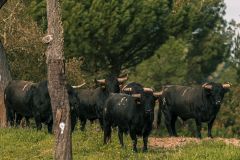 WhatsApp-Image-2025-06-25-at-16.27.15-1