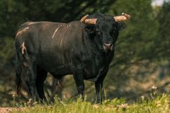 WhatsApp-Image-2025-06-25-at-16.27.15