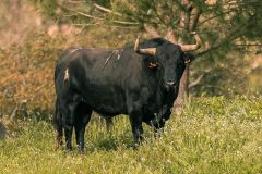 WhatsApp-Image-2025-06-25-at-16.27.16-1