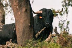 WhatsApp-Image-2025-06-25-at-16.27.16