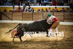 IMG_7820-Editar