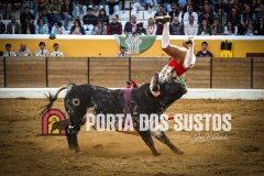 IMG_8106