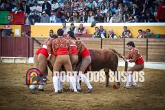 IMG_8306